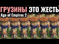 НАРОД-КРЕПОСТЬ: СЕКРЕТНАЯ ИМБА за Грузин в Age of Empires 2