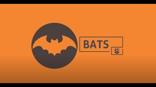 Facts About Bats: Homeowner’s Guide to Pest Control