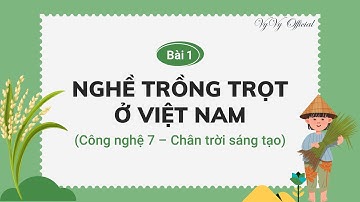 Công nghệ 7 bài 1 I Nghề trồng trọt ở Việt Nam I Chân trời sáng tạo I VyVy Official
