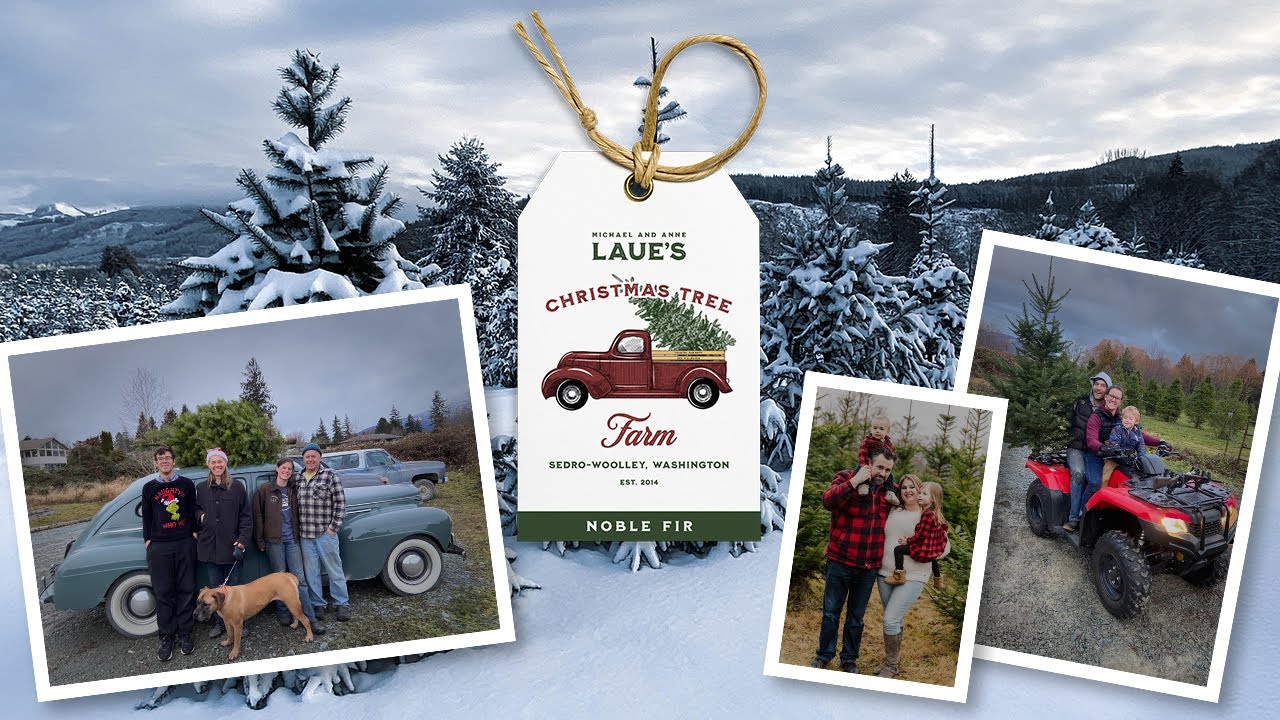 Laue's Christmas Tree Farm SedroWoolley, WA Skagit County YouTube