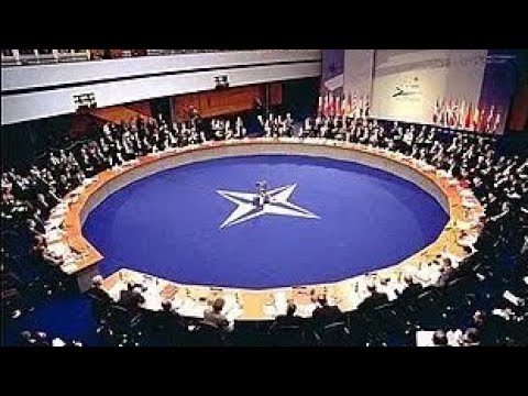 Может ли НАТО