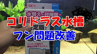 アクアリウム そうじやさんまとめ Youtube