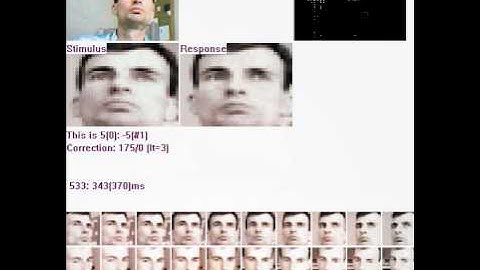 Face Recognition using Associative Neural Network (www.videorecognition.com/memory)