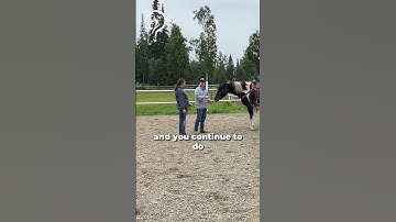 Establishing Your Bubble With Your Horse! Part 5! | The Horse Guru - Michael Gascon