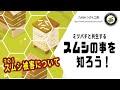 【ミツバチと共生するスムシの事を知ろう！】「その1　スムシ被害について」日本みつばちの養蜂 How to Beekeeping