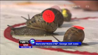 Tradisi Lomba Siput di Inggris - NET5
