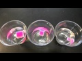 Cell Size and Diffusion: An Agar Experiment in Action