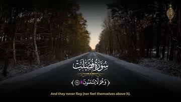 سورة فصلت(كاملة ) تلاوة خاشعة تريح القلب وتساعد في النوم 💜Surah Fussilat ❤
