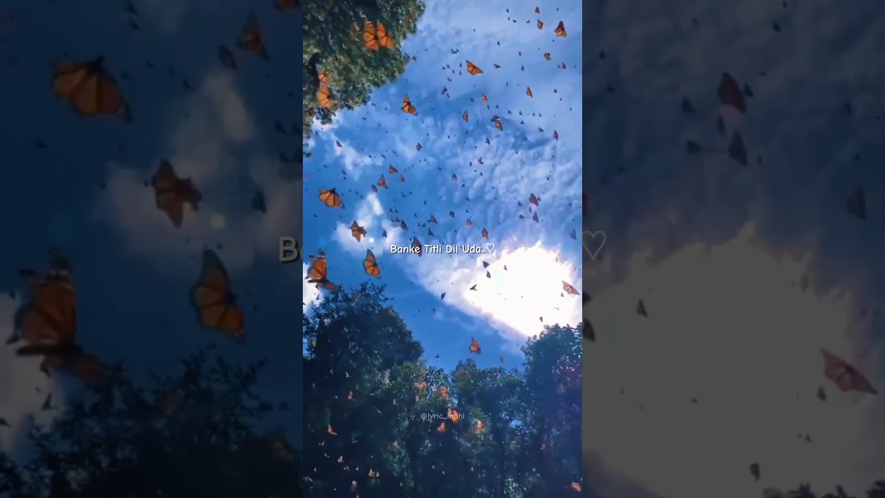 Banke titli dil uda 🦋 💞 || Slowed and Reverb || WhatsApp Status || Lyric Mahi 