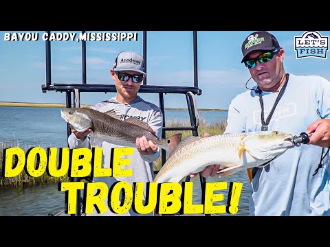 REDFISH FRENZY WITH