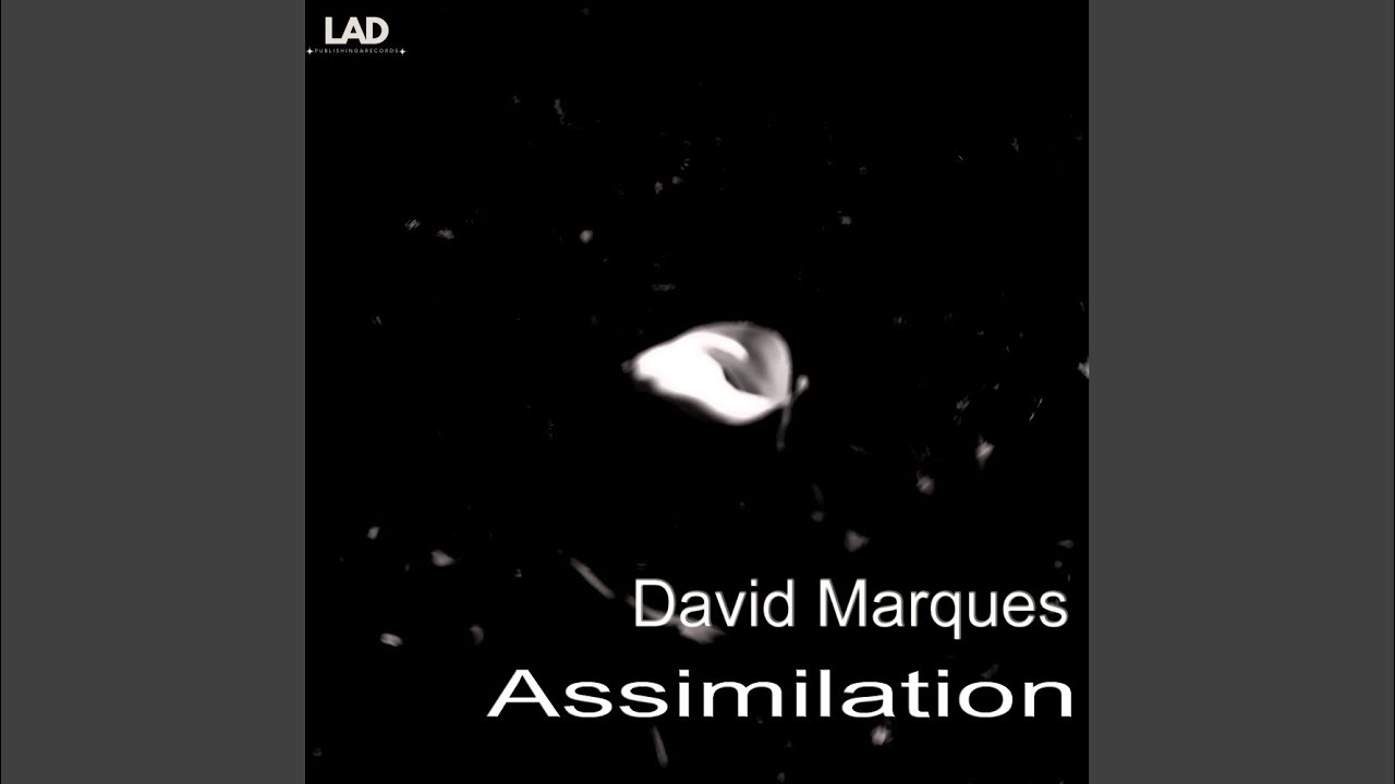 Assimilation adlı videoyu YouTube'da izle Assimilation adlı videoyu YouTube'da izle