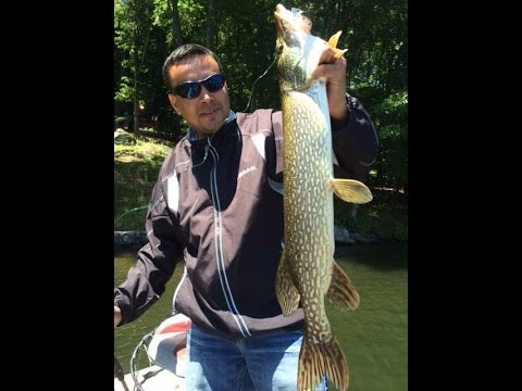 lake fishing pike