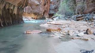 The narrows in Zion Park