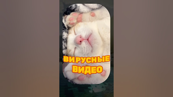 ВИРУСНЫЕ ВИДЕО / Кот тренер 🤣