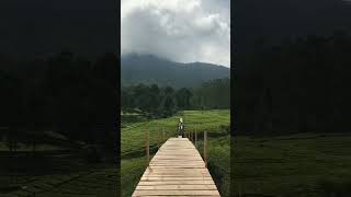 story wa || Deny caknan klebus