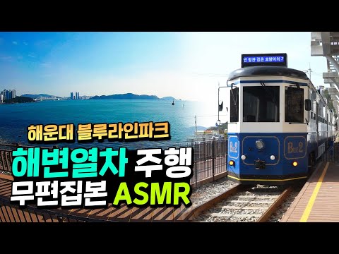 바다 풍경을 싣고 달리는 해운대 해변열차타고 부산여행 떠나자!