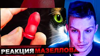 Мазеллов Смотрит Вот Что Мы Купили На Aliexpress | Сливки Шоу Реакция Мазелова