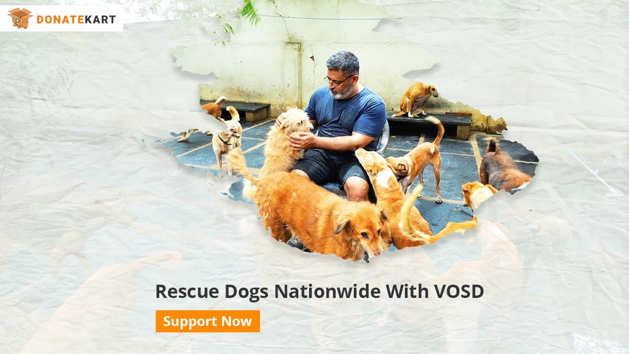 Donate Now And Be a Lifeline for India’s Stray Dogs with Rakesh