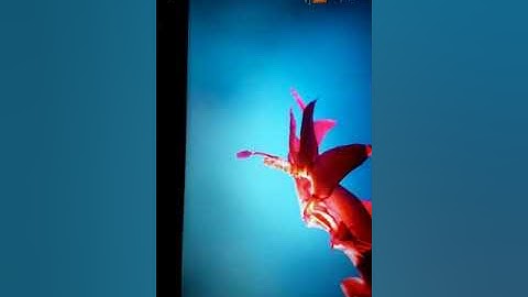 Ch -2 GuI Operating system - Desktop Management ( part -2)