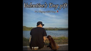 Valentine's Day gift_Pi O Thegang song 2026