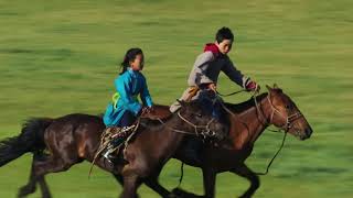 Steppe [Mongolian] (Horse Racing - Huang Haihuai)