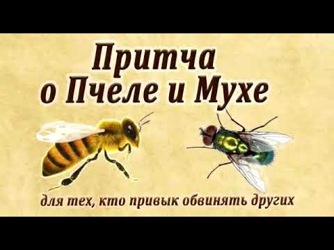 Притча о пчеле и мухе!