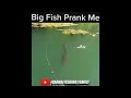 Big fish prank me  fishing prank bigfish shorts