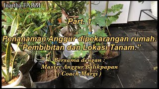 tanam anggur dipekarangan bersama master anggur balikpapan. #PART. 1
