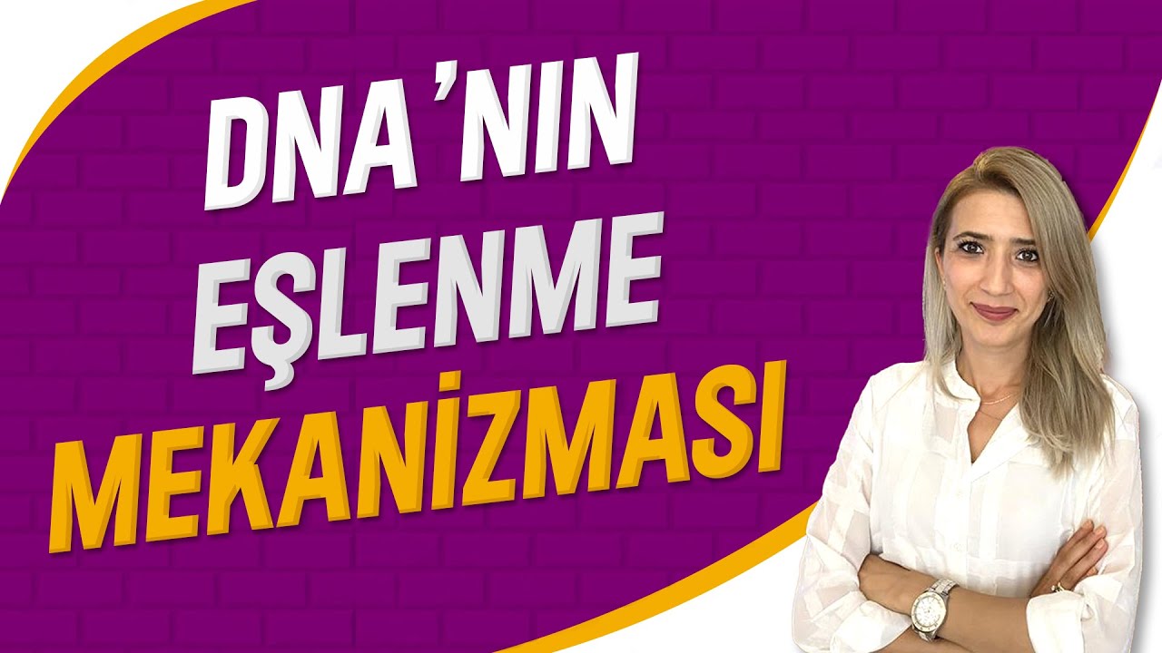 DNA'nın Eşlenme Mekanizması | Seda Hoca Biyoloji ( 23. Ders ) #sedahocabiyoloji #ayt2023