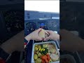 Dietary restrictions for pilots #aviation #airplane #airplanesafety #Knowledge