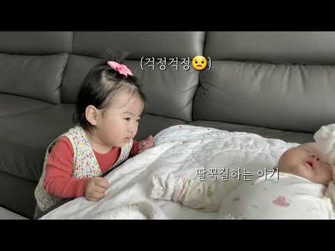 아기가 아기를 만났을 때 (돌 지난 아기와 신생아 만남)