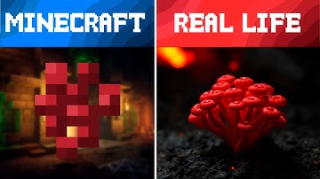 Minecraft Items... But in Real Life! 😱