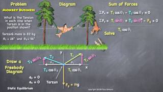 The Physics of Tarzan HD
