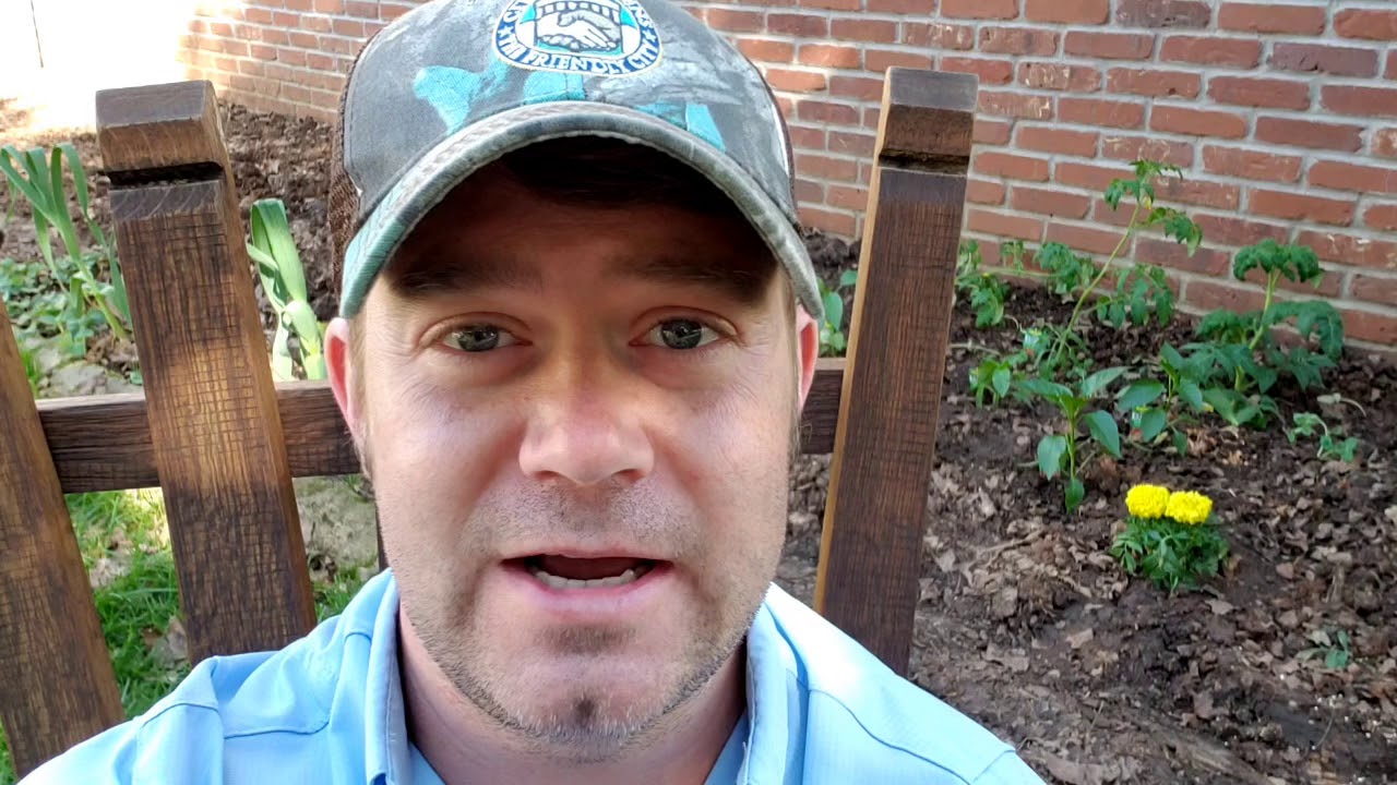 Athens COVID-19 Update 29 March 2020