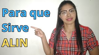 ¿Que es y Para que sirve ALIN? 2026