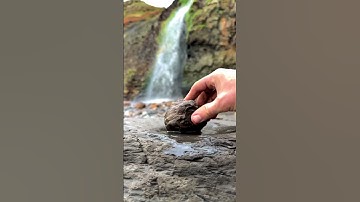Fossils and waterfalls #geology  #rock  #fossil  #hunting  #treasure  #shorts