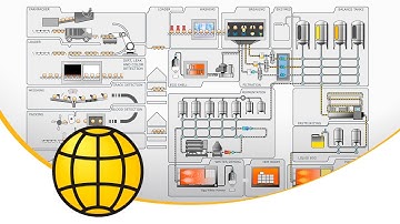 Egg production flow chart - Egg grading and egg processing - Flowchart of process in facility