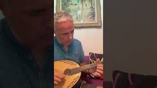 N. Lygeros: Childgrove (Part B) Playford Collection. (Mandolin Kerman) #lygeros #music #mandolin