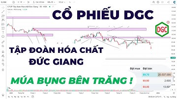 Cổ phiếu DGC theo Wyckoff 19/12/2025 - Wyckoff Method Analysis