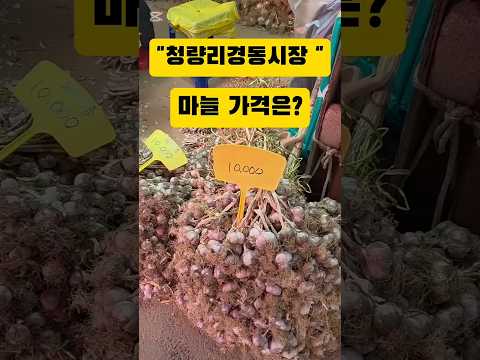 "청량리경동시장"마늘 잘 팔리네요~가격은 얼마?