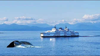 Ferry from Nanaimo to Vancouver with Car | 4K Road Trip
