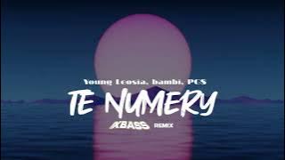 Young Leosia, bambi, PG$ - TE NUMERY (XBASS Remix)