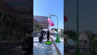 Chỉ Những Người Thuần Khiết Mới Có Thể Mở Được Bông Hoa T...