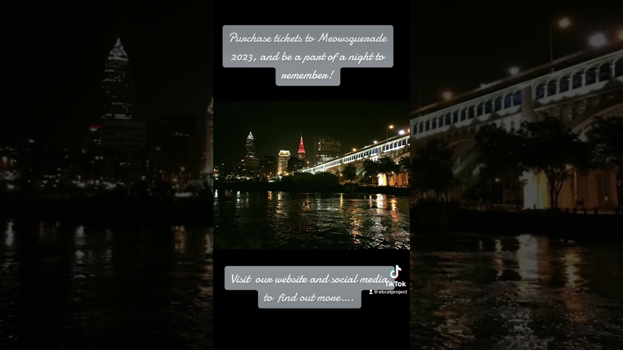 EB Cat Project- Meowsquerade 2023