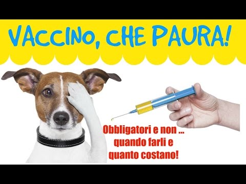 Video: Vaccini combinati canini per cani