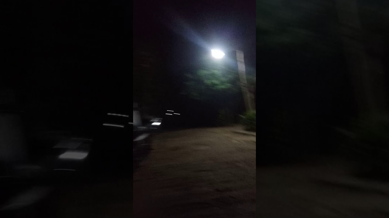 Lihat burung hantu 