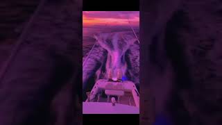 Kapo Type Beat 2026 - "Lento en la Playa" Afrobeat Romántico #beats #music #producer #lofi