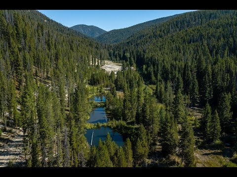 2175 Hughes Creek Road, Darby, MT home video tour