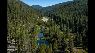 2175 Hughes Creek Road video tour