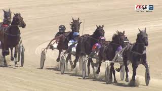 Vidéo de la course PMU PREMI BABA